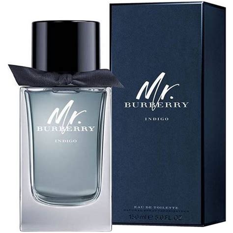 burberry mr burberry indigo edt 100ml|burberry indigo for men.